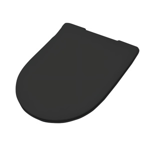 Сиденье для унитаза с крышкой Artceram File 2.0 30х360х500 мм, цвет Matt black (FLA014 17)